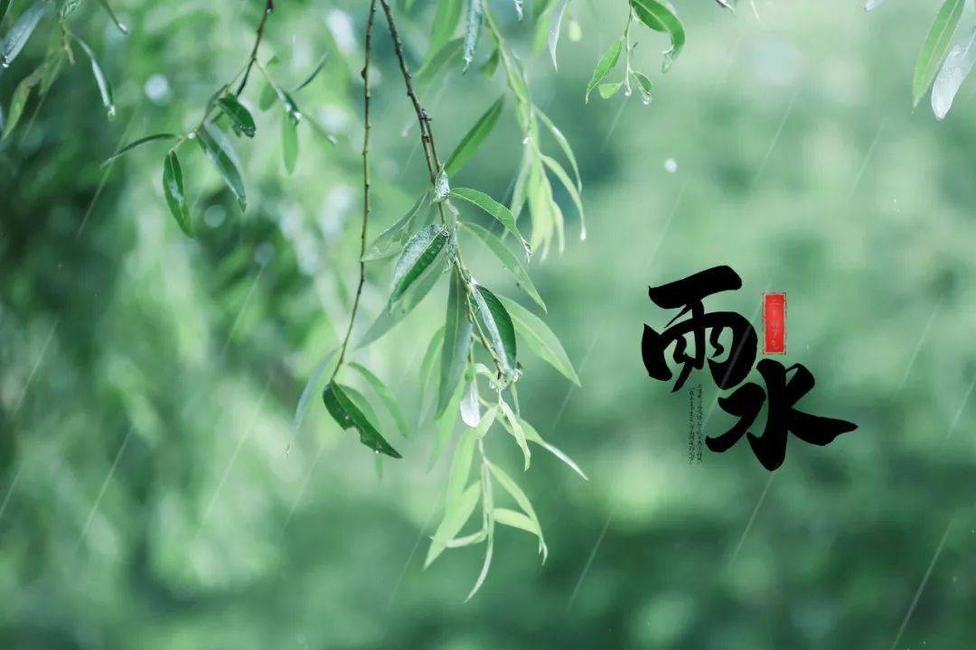 d272839e089b4fc2a8b169fe9b320b77.jpeg
