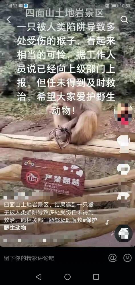 重庆一景区猕猴遭捕兽夹所伤无人救助？丨怪事！社保所所长父亲成了民政医疗救助对象