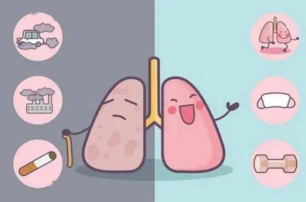 营养过大年慢性阻塞性肺疾病篇