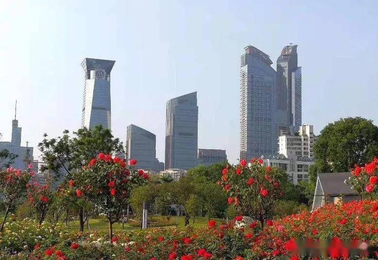 广东gdp韩国gdp排名2020_2020广东21市gdp(2)