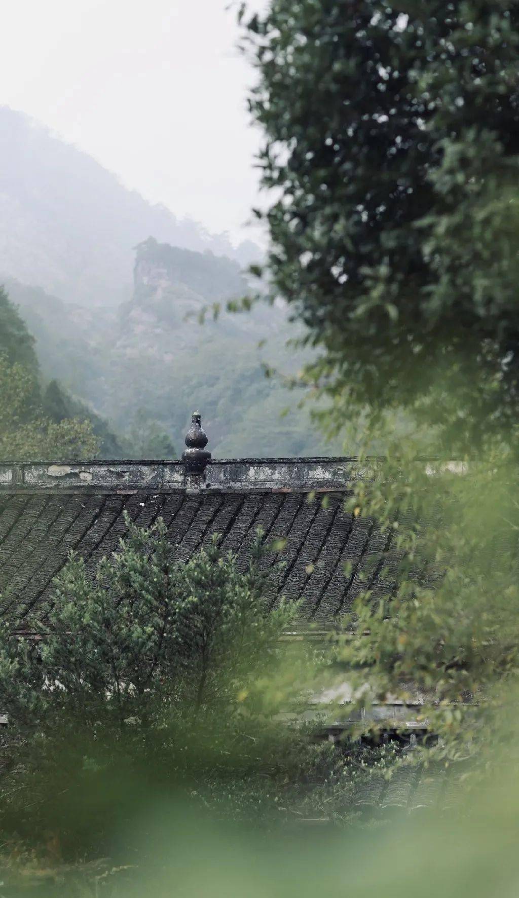 9首唯美的小诗短到极致美到极致