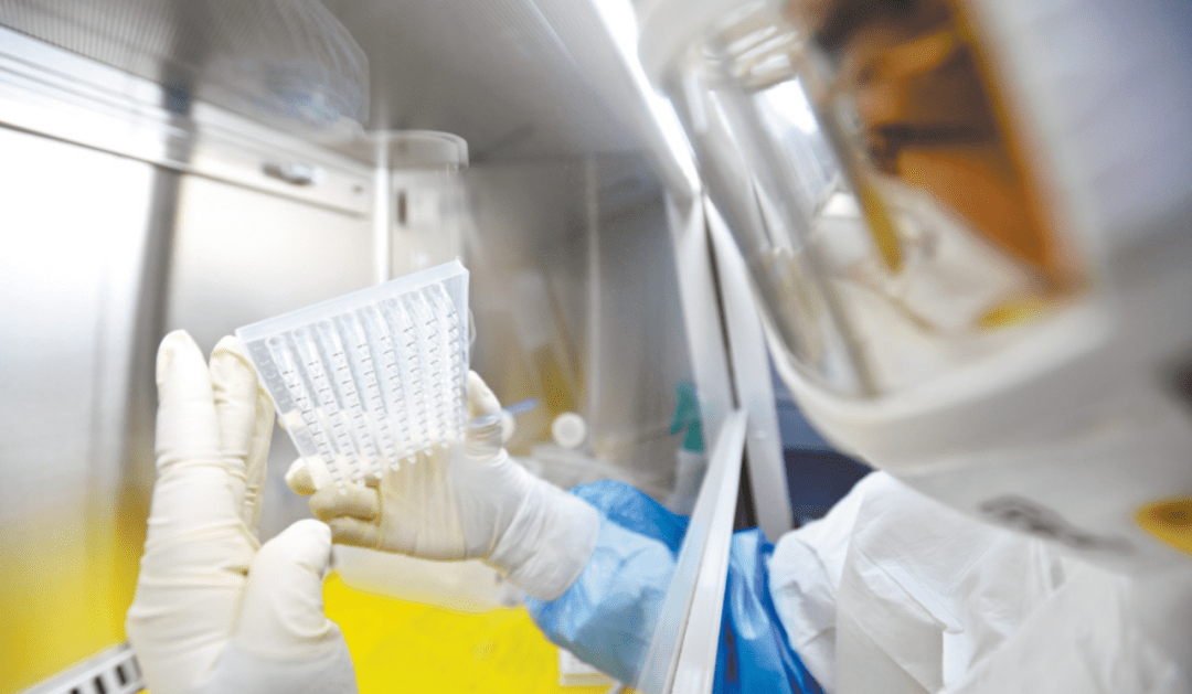 2020武汉东湖高新gdp(3)