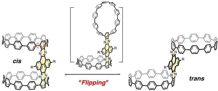 纳米可翻转的双层碳纳米环