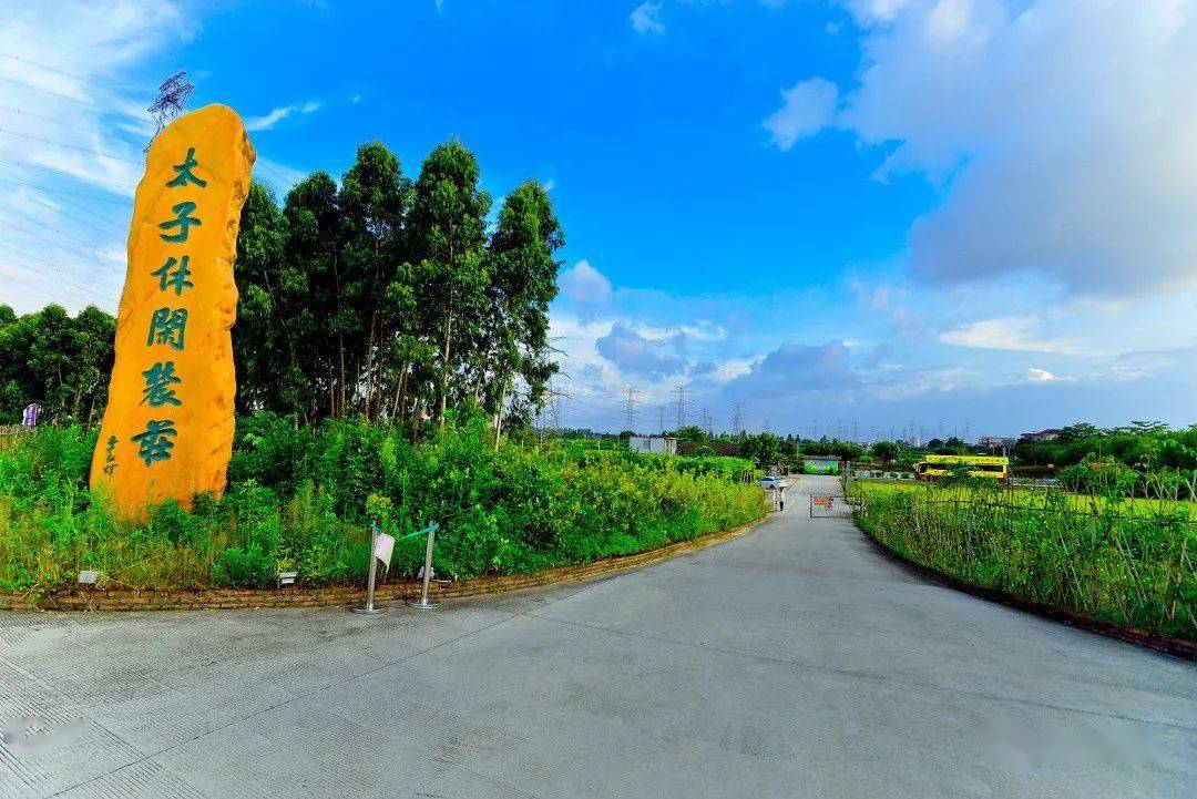 均安旅游景点 一日游图片