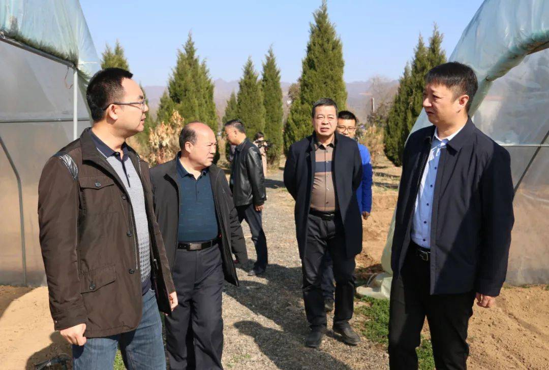 徽县伏镇快讯赵彦凯到伏家镇检查指导春耕生产及产业发展工作