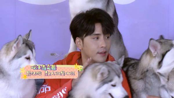 2021年2月20日18:05,央视综艺频道《动物传奇》与您不见不散!