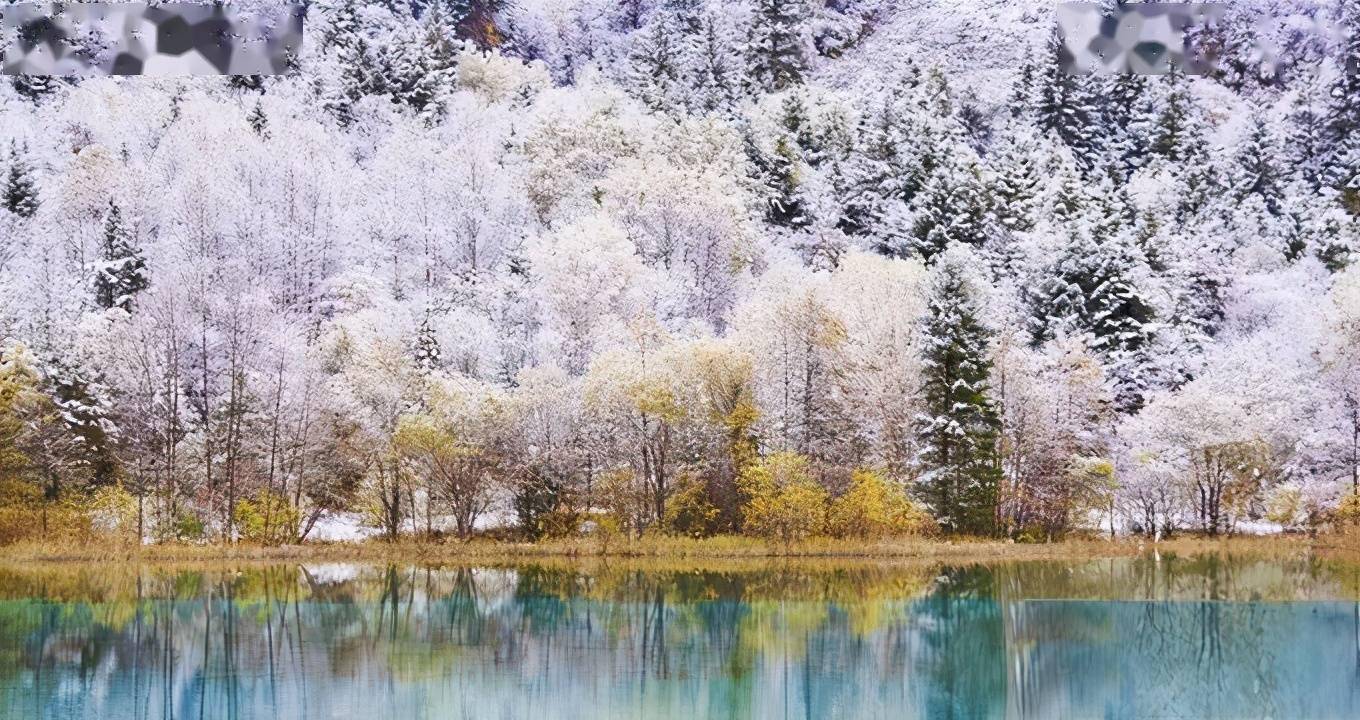 冬季的九寨沟,竟然这么美,来一场现实版的冰雪奇缘