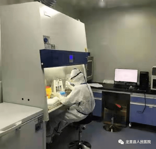 pcr检测实验室 b0e3b4e2a3134502a99991aa0f4670db.png