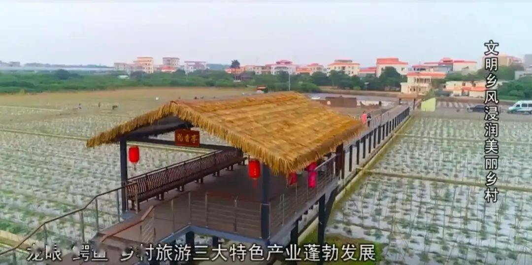 高州杏花村建立树帮兴三大文明乡风建设理念