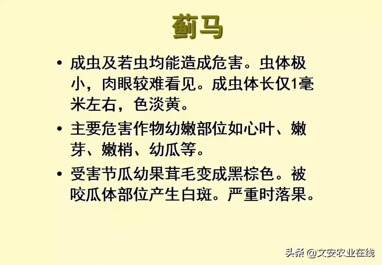 经典收藏看图识虫就这么简单