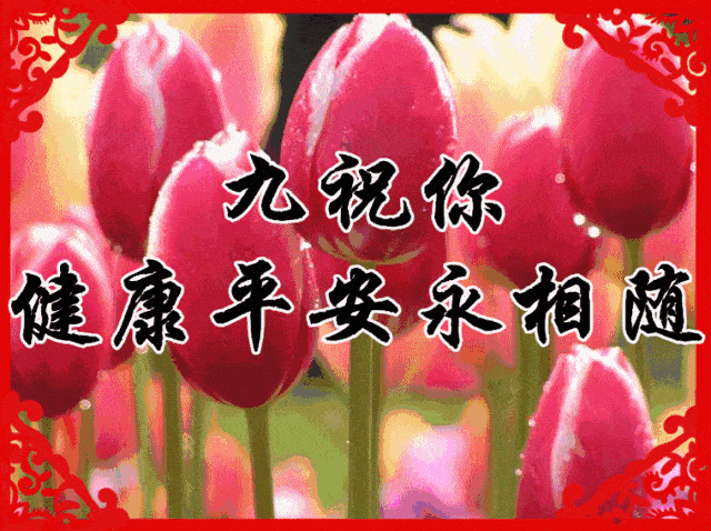 640_478gif 动态图 动图