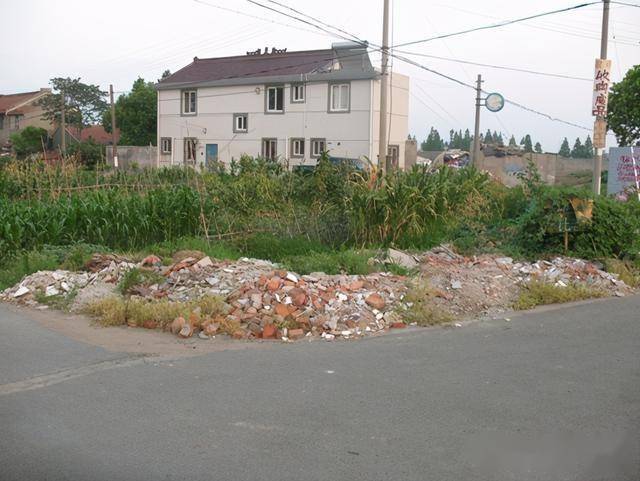 曾经的垃圾场如今花海烂漫，宁波镇海永旺梅园成网红“打卡点”