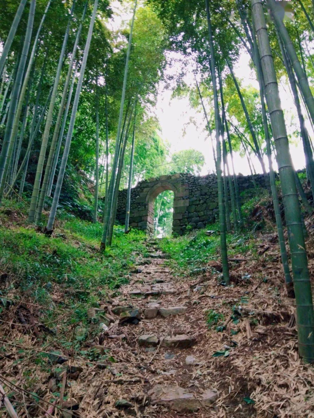 遇见最美春天,湖州的古道走一走~趁着暖阳马上出发!