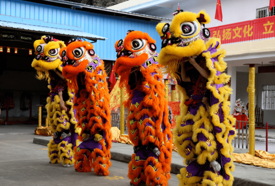 三角现有14支登记在册的醒狮团队!_狮子舞