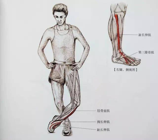 经典21点平台