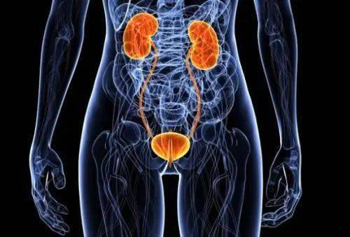 这种病主要表现为尿频,尿急,夜尿,膀胱充盈后耻骨上区及盆腔疼痛,排尿