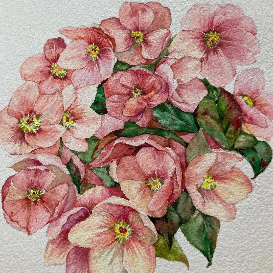 水彩花卉植物小品精致生活从画画开始吧