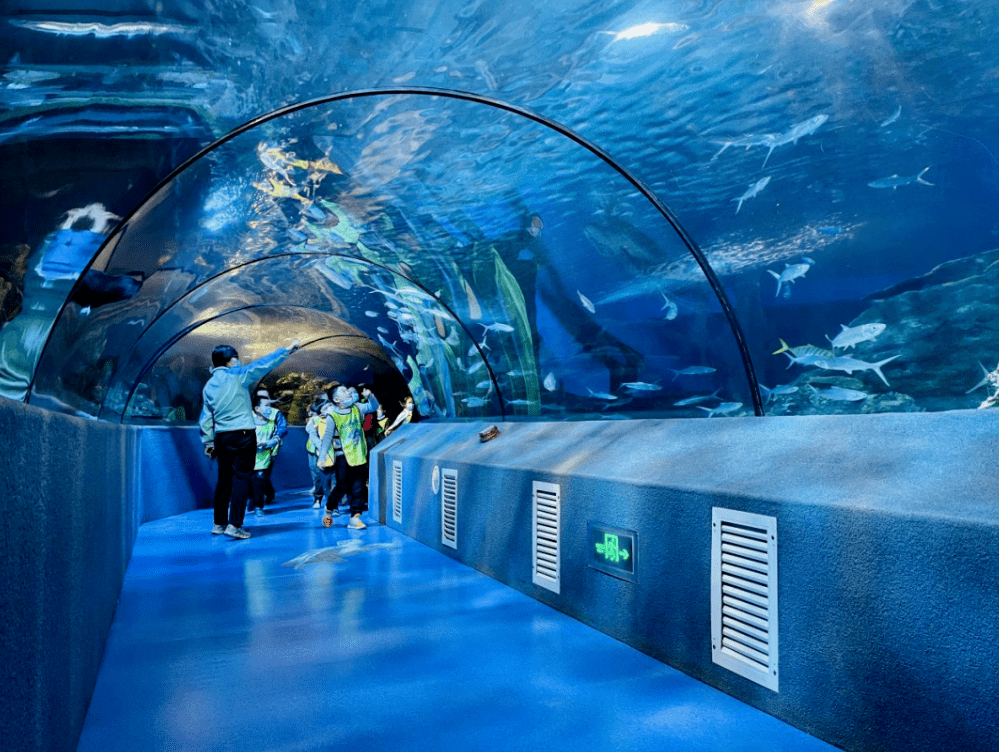 桂林多多海洋水族馆图片