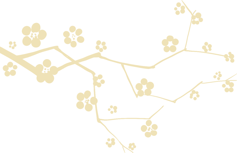 璀璨星空有你有我 教学 璀璨星空有你有我 教学