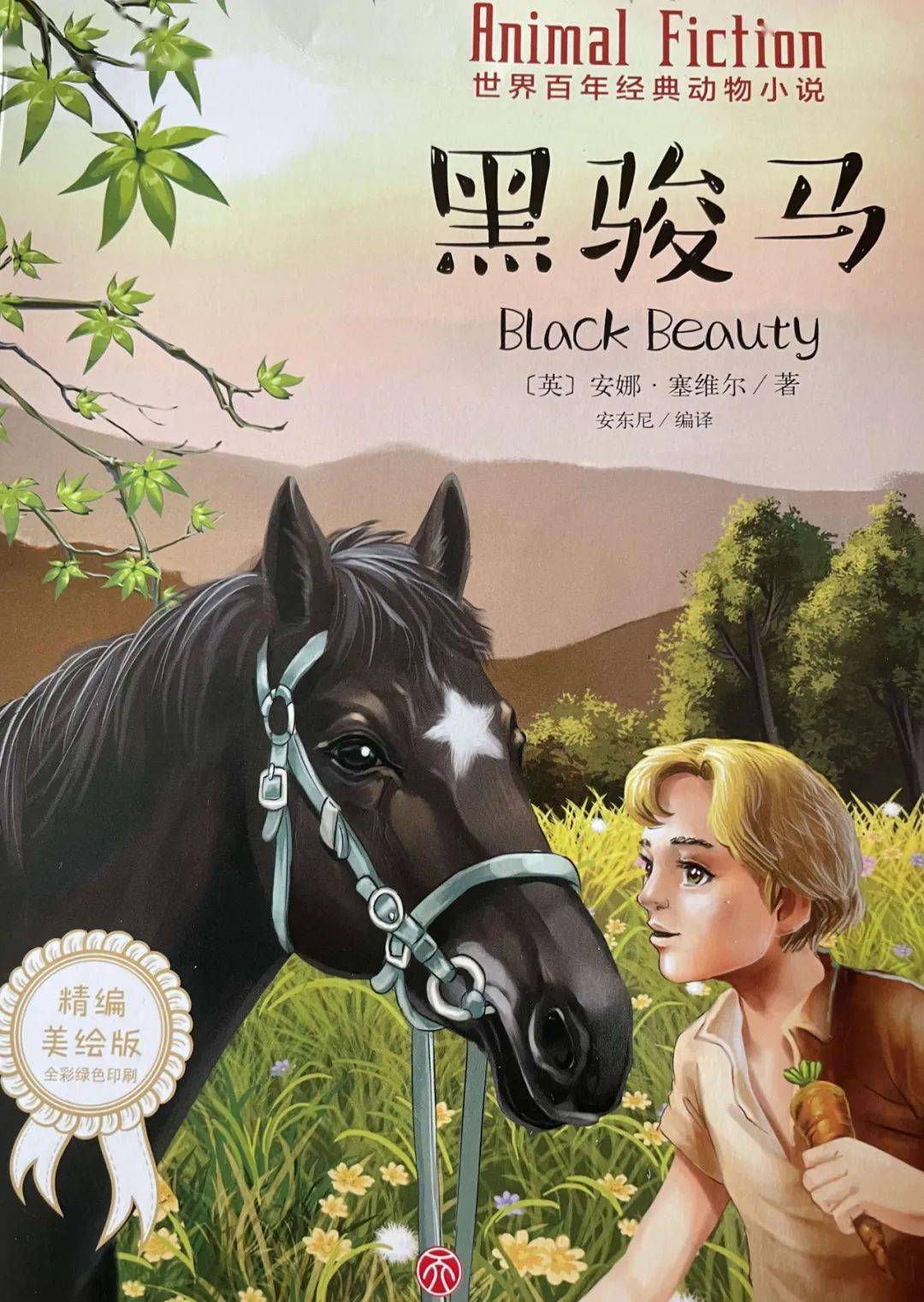 《黑骏马》是一部百年经典动物小说,讲述的是一匹黑色骏马的故事.
