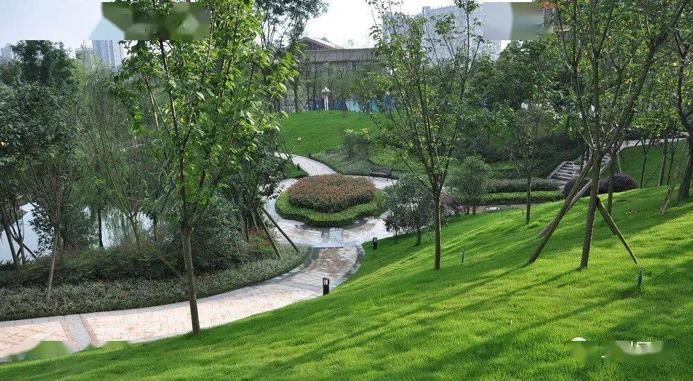 芳草和烟暖更青,专属春天的绿色好心情_草坪