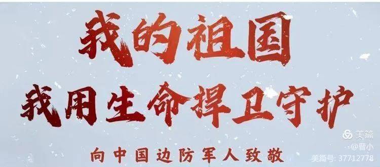 致敬用生命捍卫祖国的英雄!_山如铁