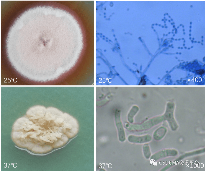 sci论文背后的故事二十九
