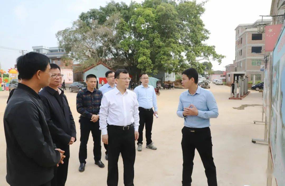 蓝晓到港南区调研经济发展及乡村风貌建设情况