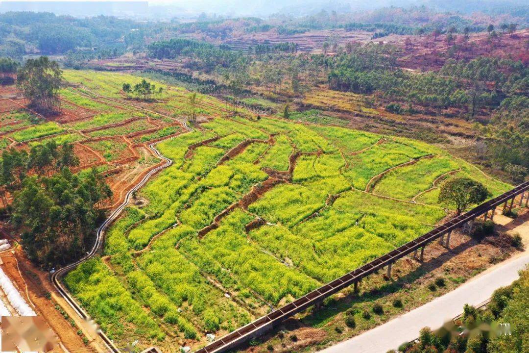 赵县黎村人口_赵县赵州镇各村地图