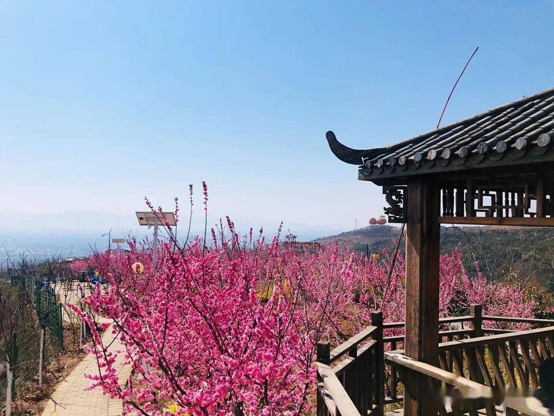 与汉中来场春天的约会,邂逅最美花果山_春风