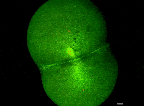 460_338gif 动态图 动图