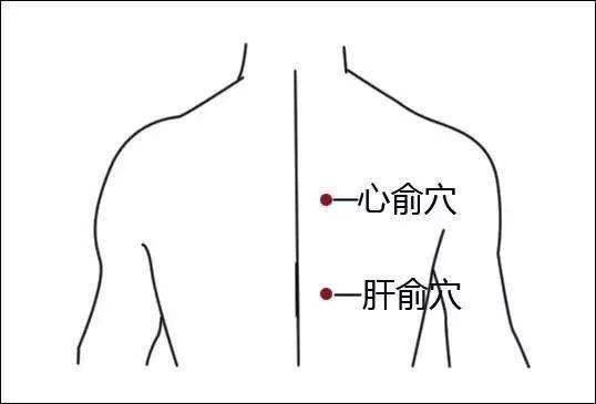 550f01e904084d3981a90197cce01fc8.jpeg