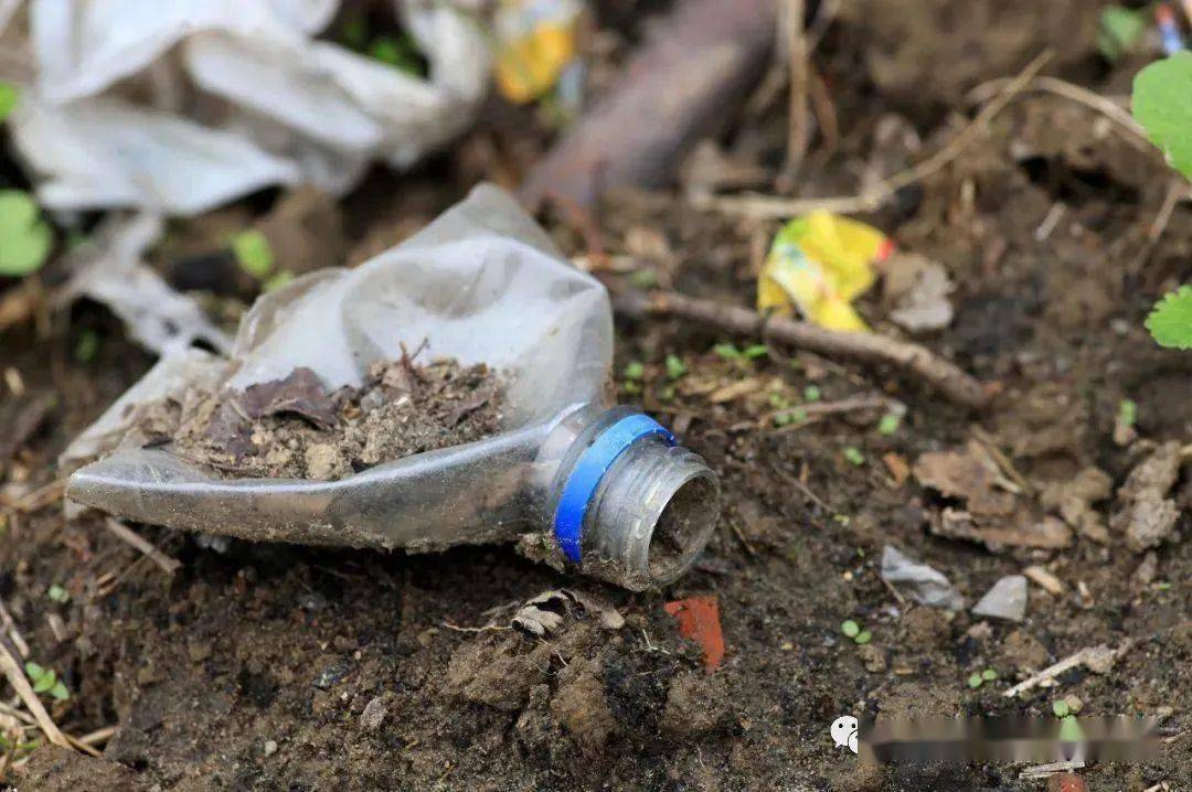 研究人员在海洋,河流,土壤甚至饮用水,瓶装水和食盐中都检出了微塑料.