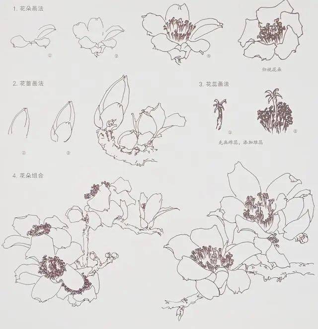d15dc4b5e860461dbf8b21c58cf33547.jpeg