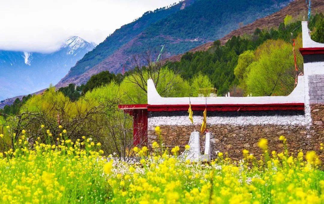 山东什么季节旅游最佳 eafb7c5c0562402984f9d168ed2857ef.jpeg