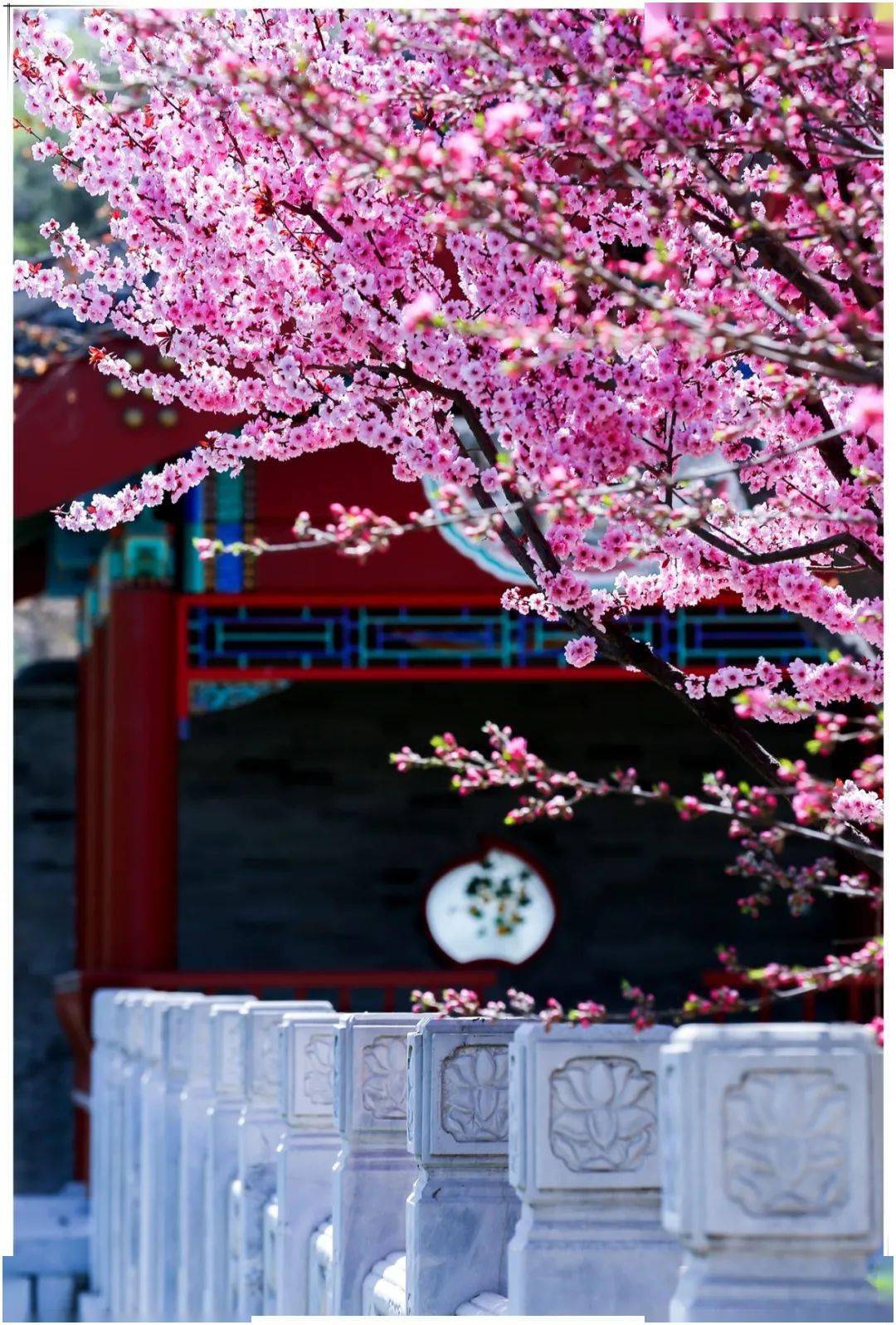 春天的园林里春……凝练下来的东方神韵包含着中华民族几千年曲径通幽