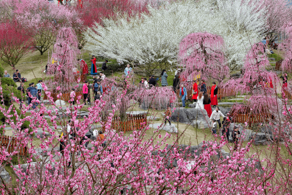 遵义市gdp包含仁怀市吗_遵义市地图(2)