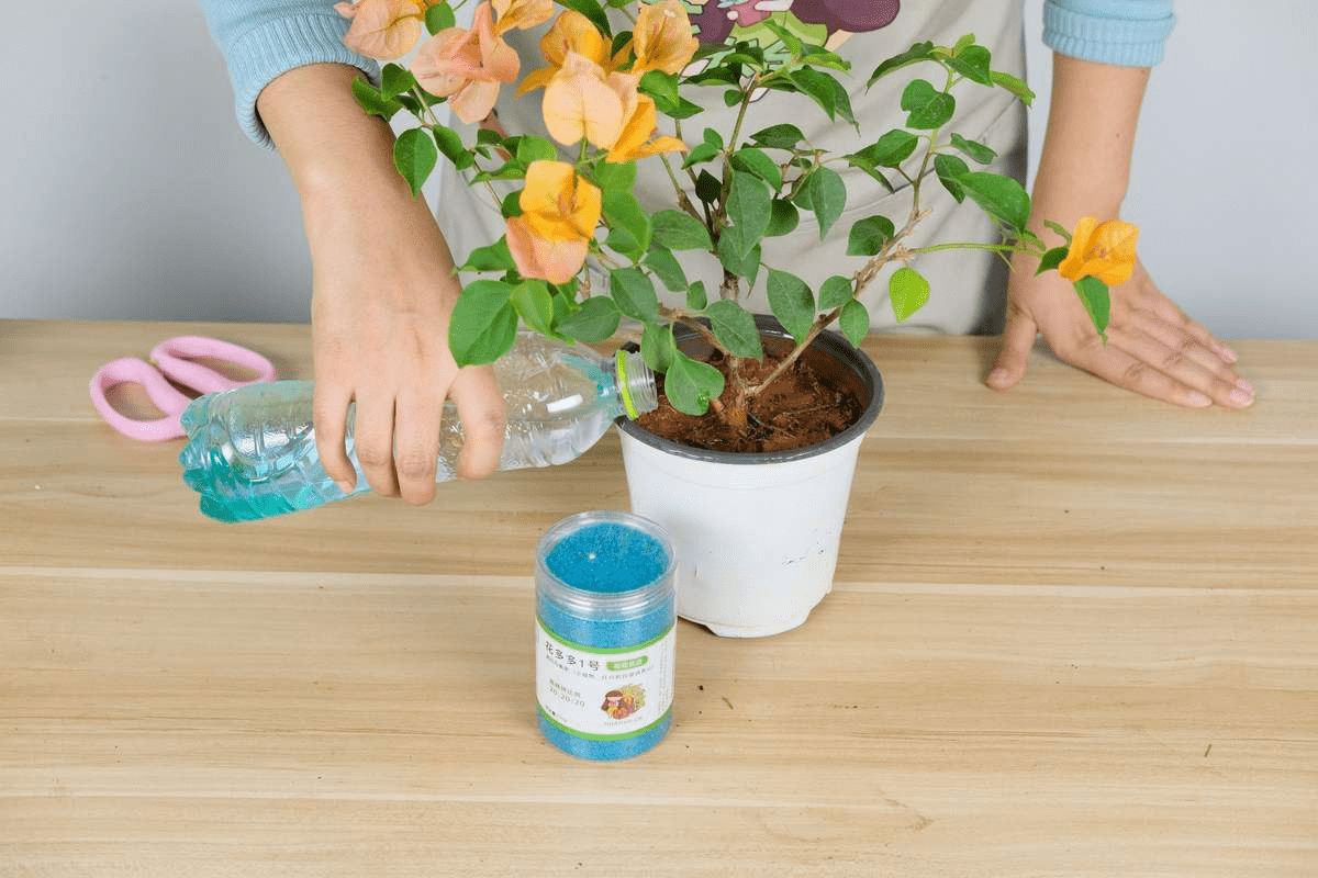 春天是施肥的好季节,但是这4点一定要记牢,不然很难开花_植物