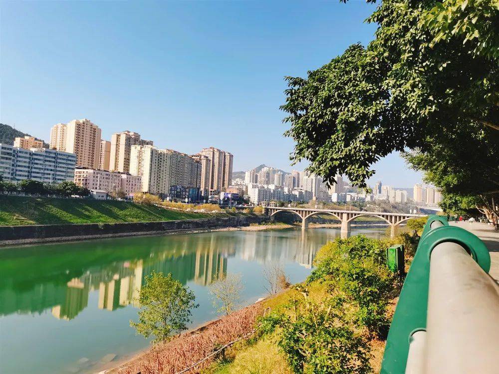 春意渐浓好心情与干净整洁的市容环境更配哦