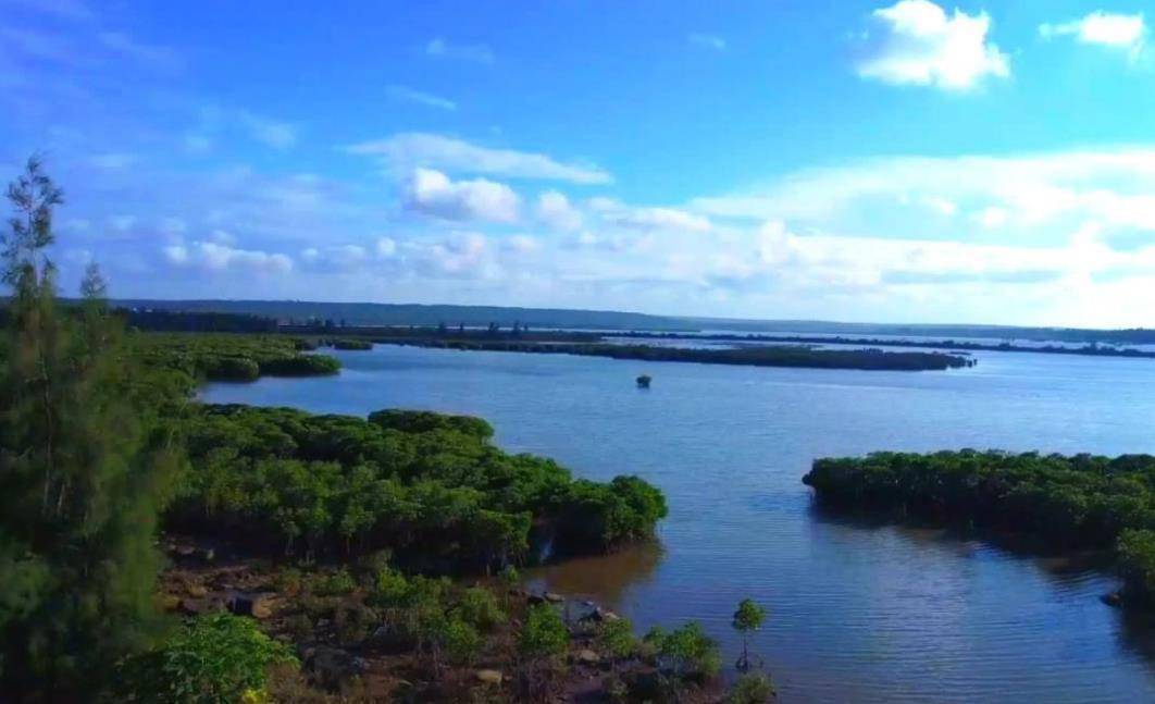 三亚河公园主要由东岸湿地公园,春光路红树林生态公园,半岭水库和草蓬