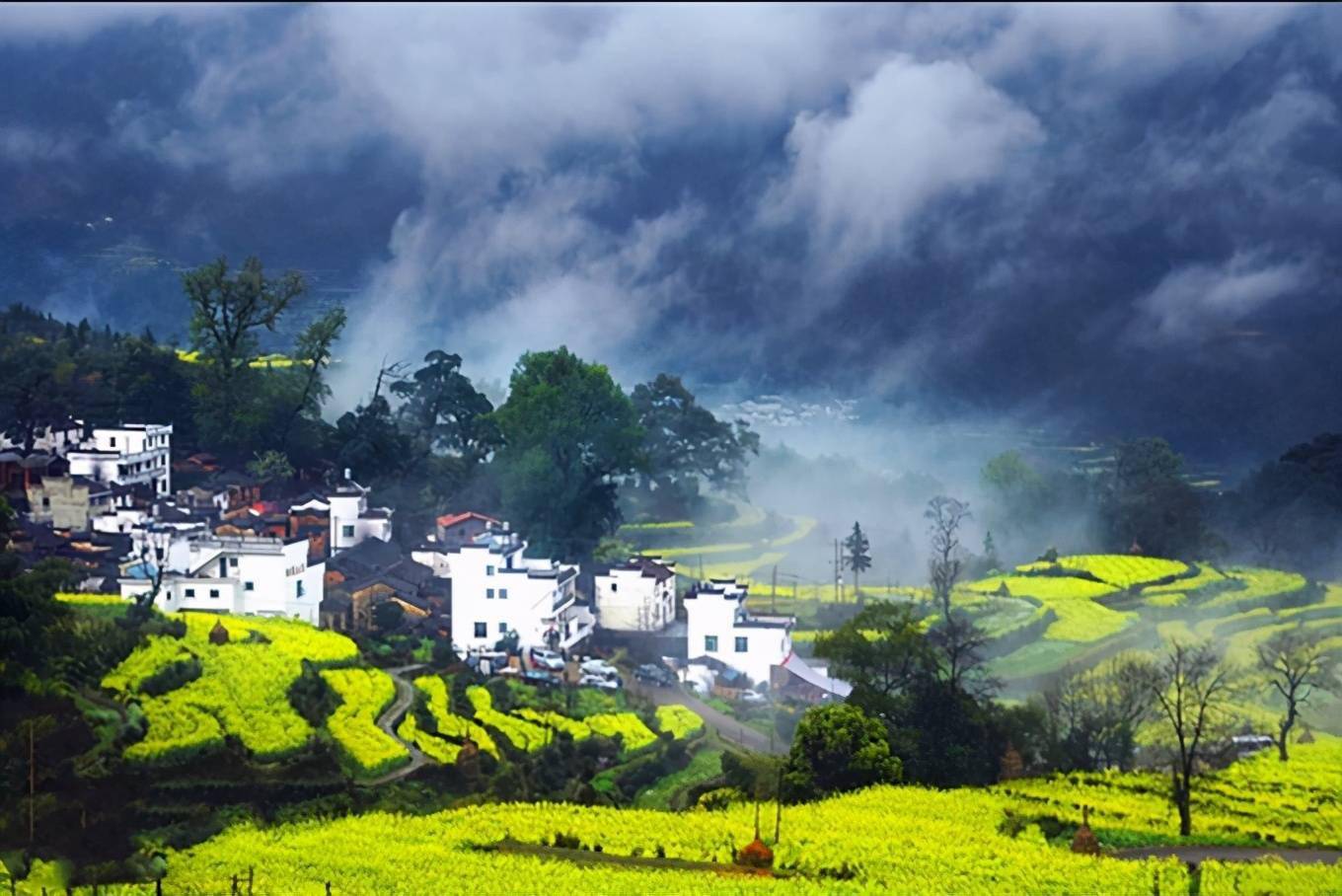 2021年婺源油菜花时间预告,万亩花海"精彩"待上线-搜狐大视野-搜狐新