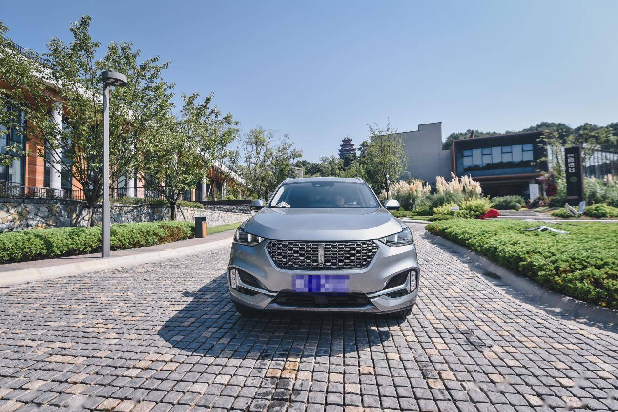 CN95空调滤芯等离子发生器,WEY VV6车主:值。