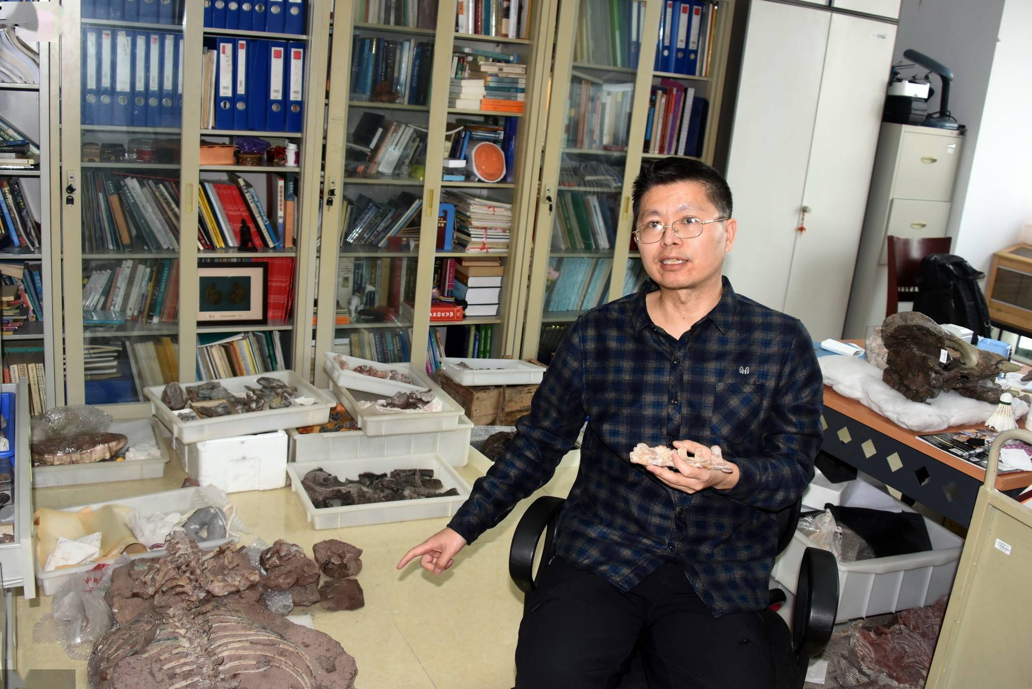 内蒙古|中国发现2.5亿年前九峰吐鲁番兽 首个跨热带温带分布二齿兽