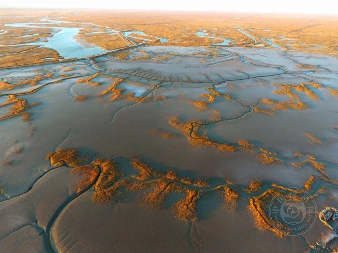 中国摄影网签约摄影师尹维华:《湿地情》_滩涂