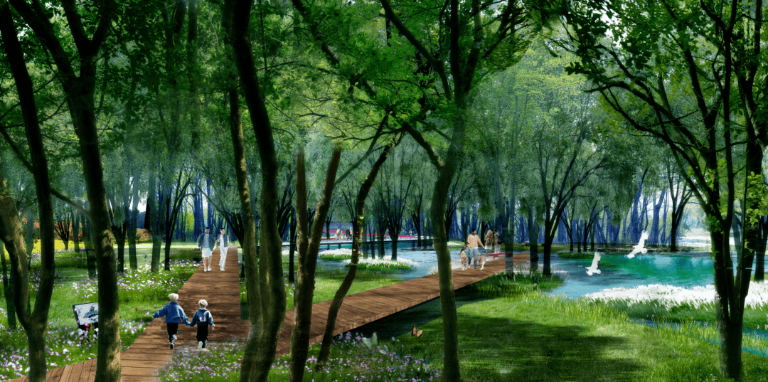 合肥central park将成为过去与未来的联系桥梁,不仅重塑城市的生态
