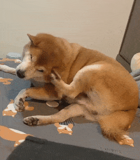 4c7bb1d427324c15943c694f25983b4d.gif