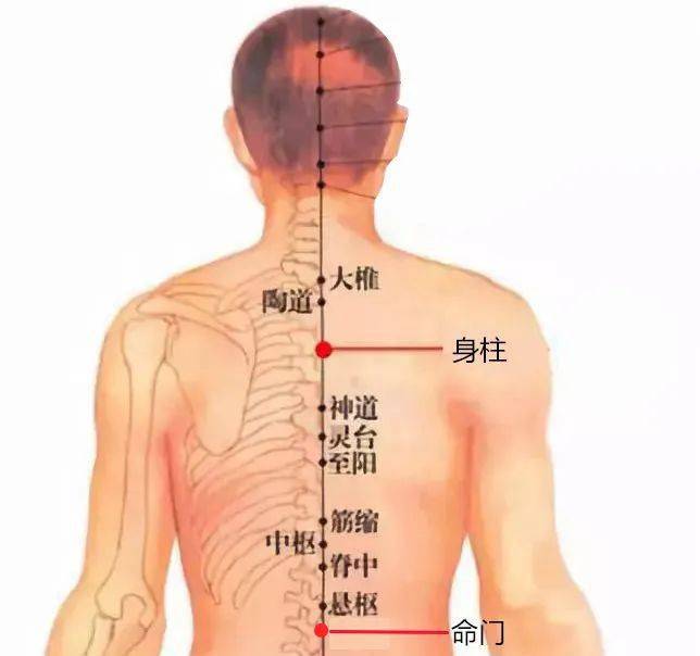 背部疼痛艾灸的位置图图片