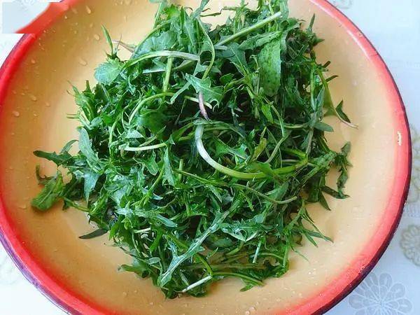 婆婆丁学名是蒲公英吗 8fd56c49fb6045a3a90950349bee3f4f.jpeg