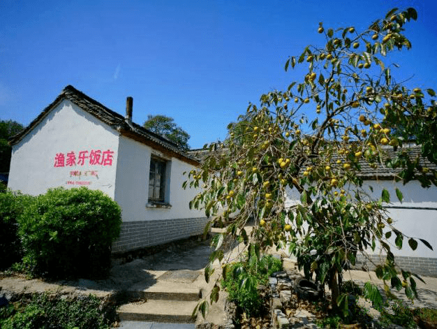 带你感受诗中桃花源一一巢湖姥山渔村的魅力