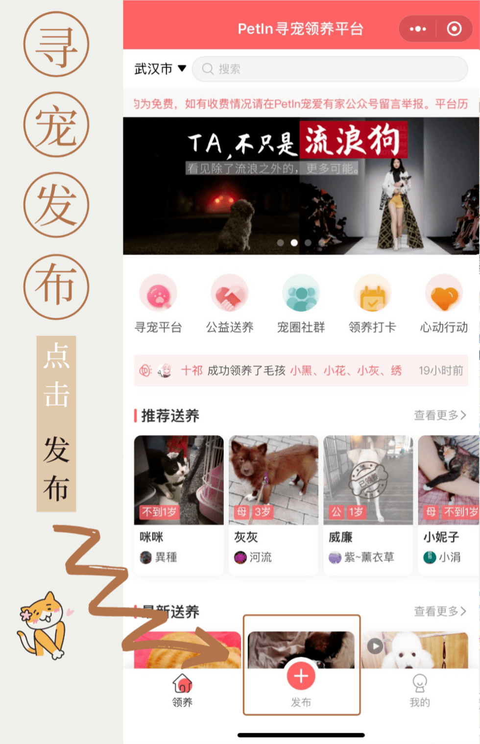 功能介绍|如何领养动物?如何发布送养/寻宠/寻主信息?_领养人